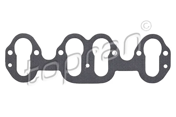 Gasket, intake manifold (100 224)