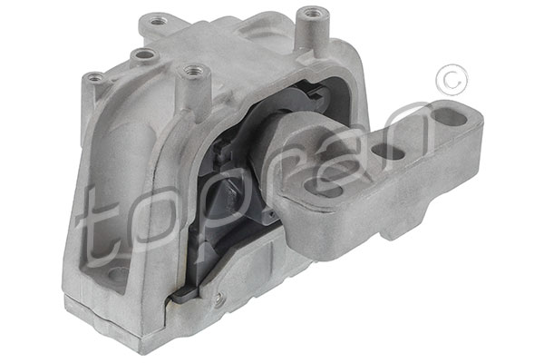 Mounting, engine (113 920)