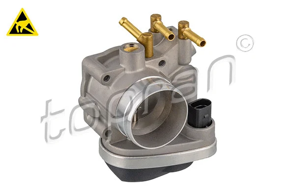 Throttle Body (117 301)