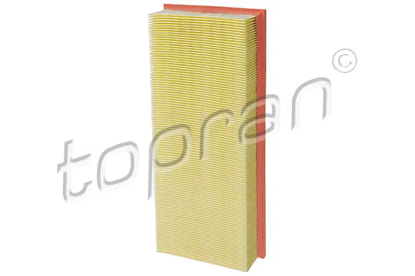 Air Filter (400 313)