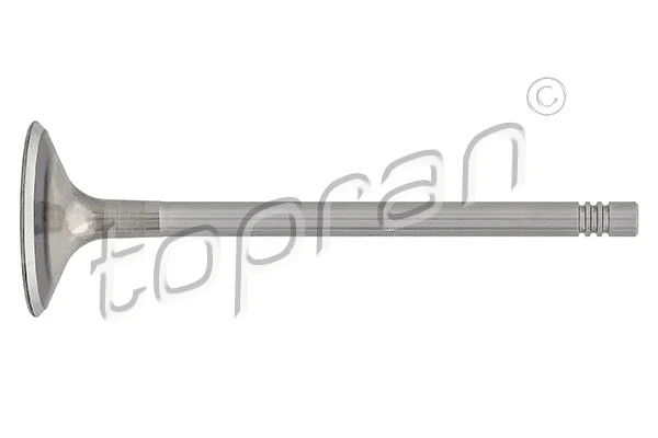 Intake Valve (110 203)