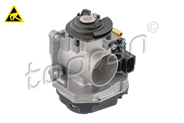 Throttle Body (117 303)