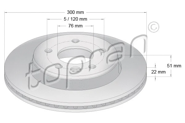 Brake Disc (118 208)