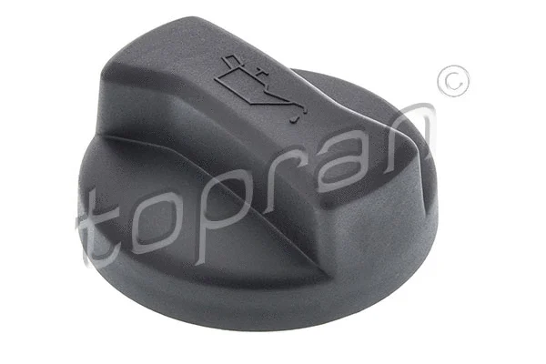 Sealing Cap, oil filler neck (100 198)