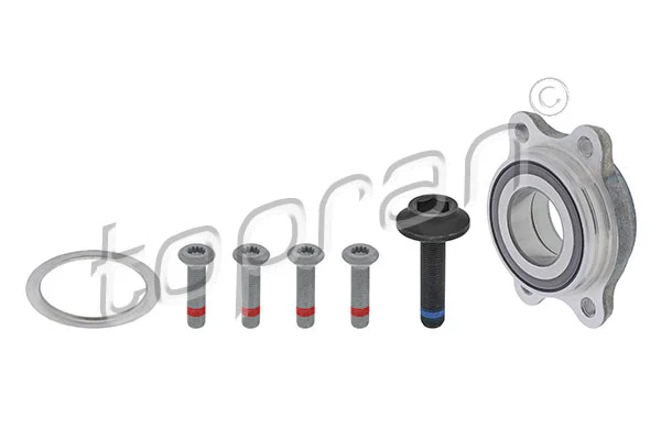 Wheel Bearing Kit (111 886)