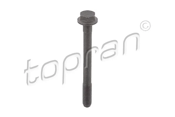 Screw (109 779)