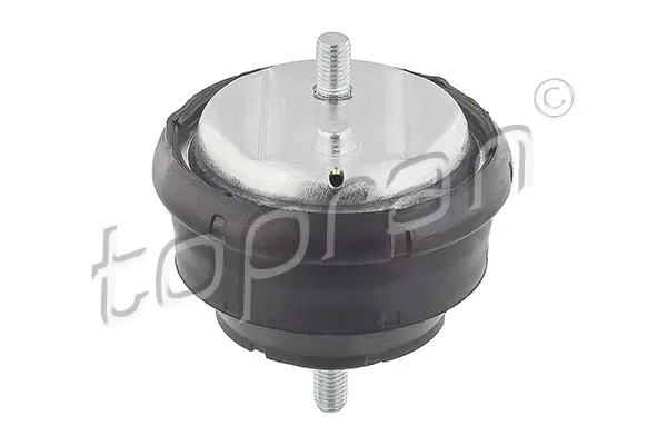 Mounting, engine (500 272)