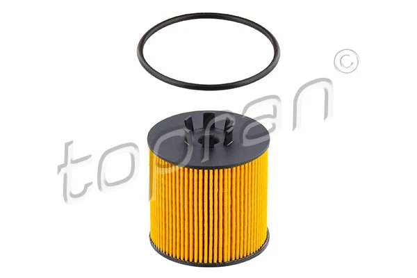 Oil Filter (110 053)