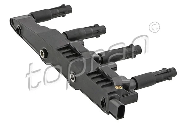Ignition Coil (401 462)