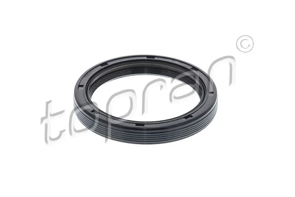 Shaft Seal, camshaft (302 169)