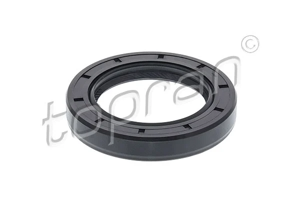 Shaft Seal, crankshaft (100 100)