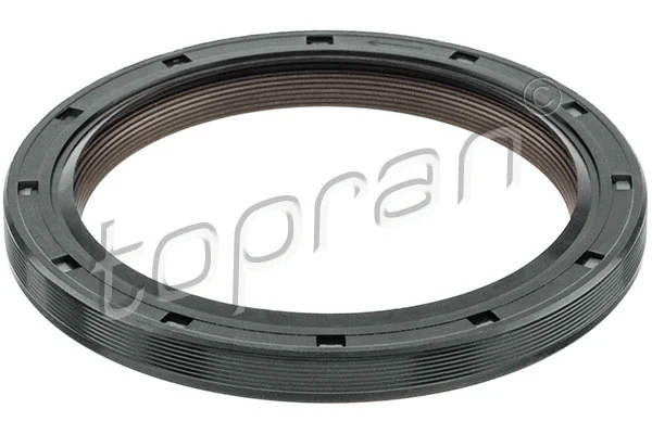 Shaft Seal, crankshaft (207 637)