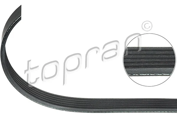 V-Ribbed Belt (111 842)