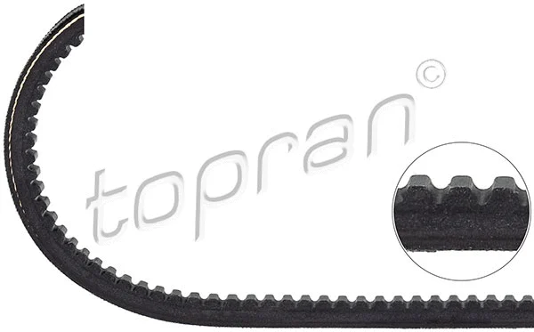 V-Belt (101 503)