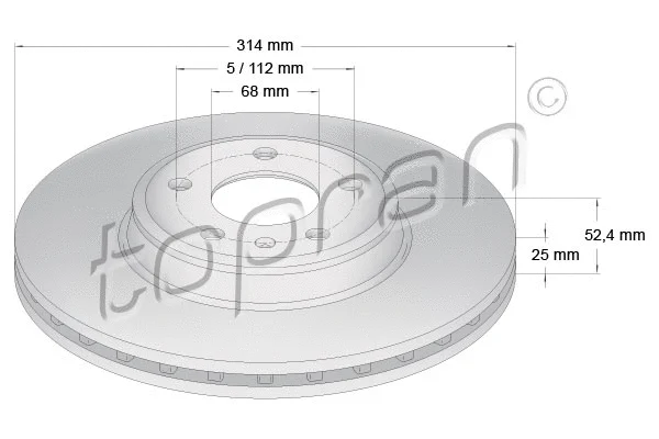 Brake Disc (113 009)