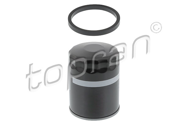 Oil Filter (720 806)