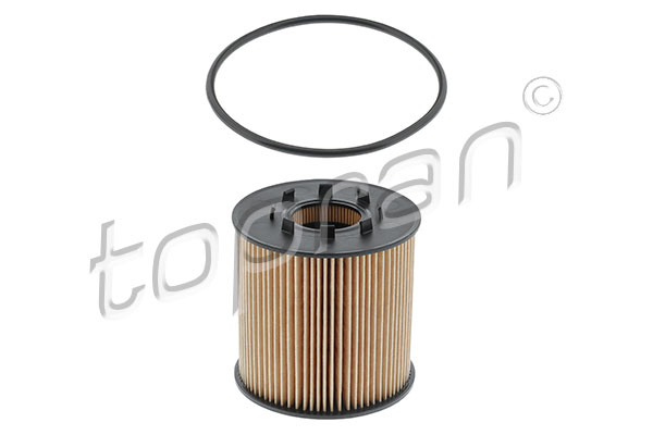 Oil Filter (207 012)
