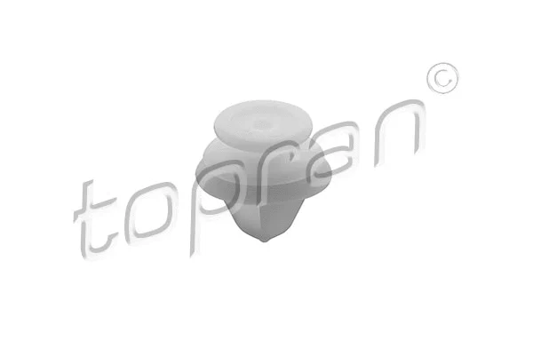 Expanding Rivet (723 433)