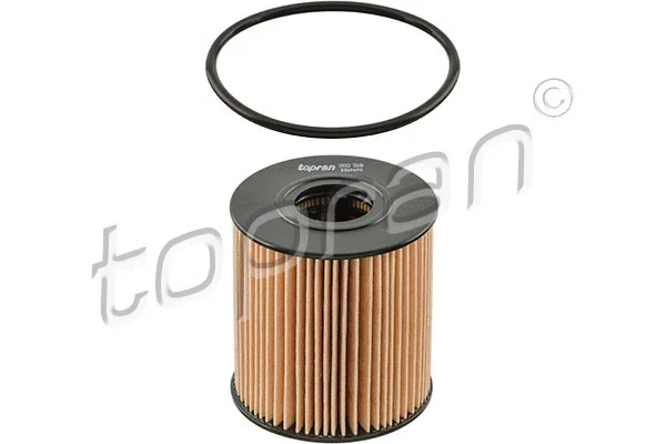 Oil Filter (302 318)