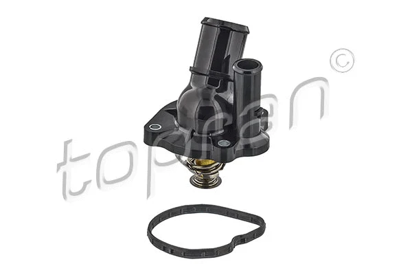 Thermostat, coolant (305 137)