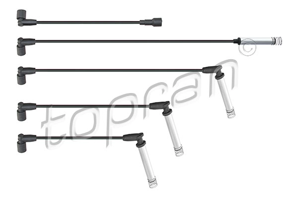 Ignition Cable Kit (202 520)