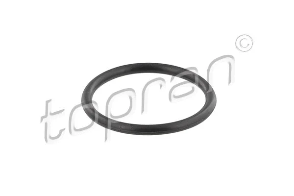Gasket, coolant pipe (109 639)