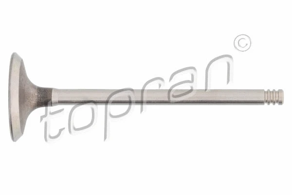 Intake Valve (700 659)