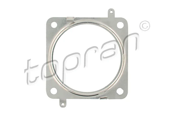 Gasket, exhaust pipe (722 391)