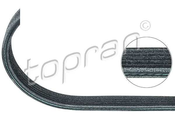 V-Ribbed Belt (109 865)