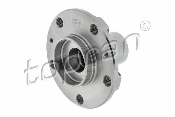Wheel Hub (723 333)