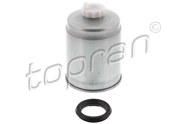 Fuel Filter (304 038)