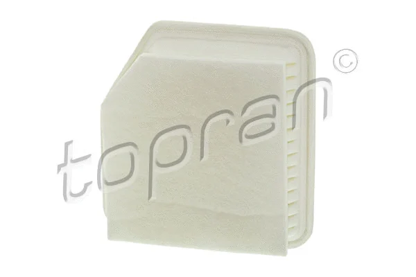 Air Filter (600 012)