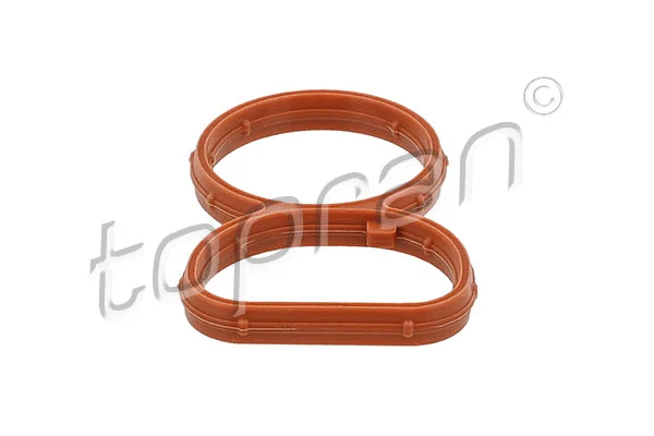 Gasket, intake manifold (503 256)