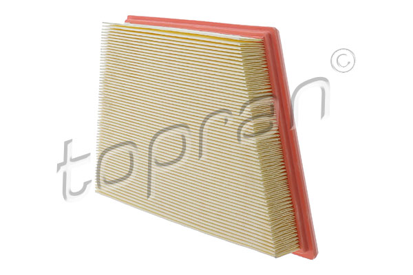 Air Filter (620 878)