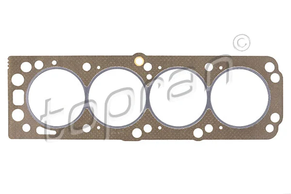 Gasket, cylinder head (203 843)