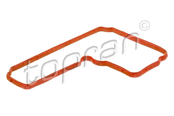 Gasket, cylinder head cover (722 548)