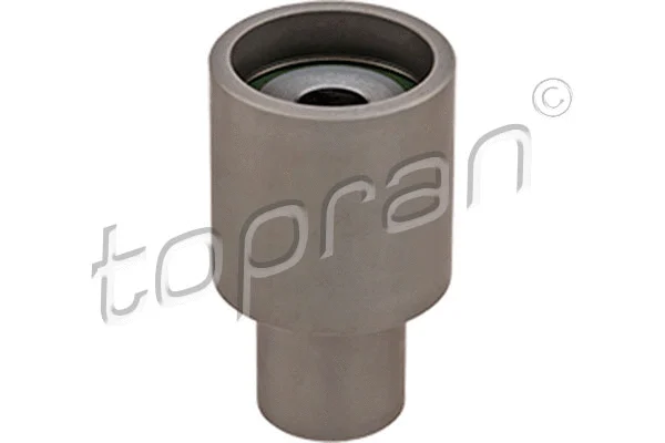 Deflection/Guide Pulley, timing belt (108 224)