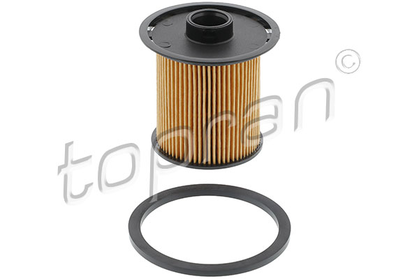 Fuel Filter (700 234)