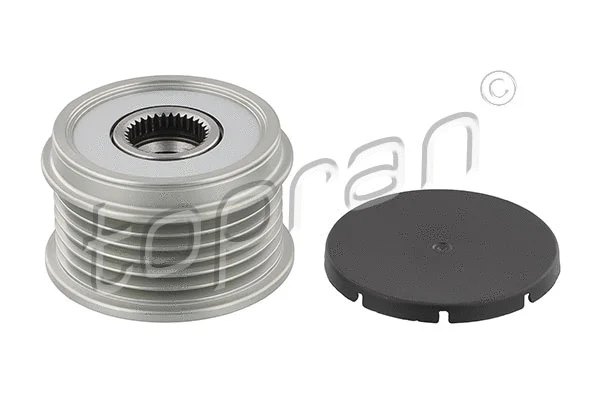 Alternator Freewheel Clutch (209 173)