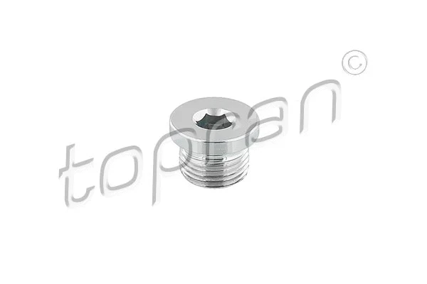 Screw Plug, oil sump (503 191)
