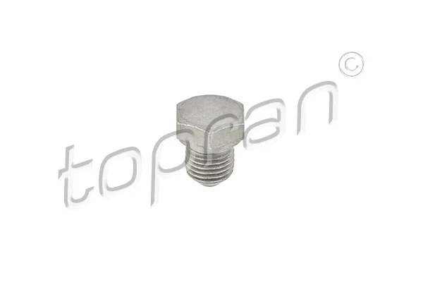 Screw Plug, oil sump (104 528)