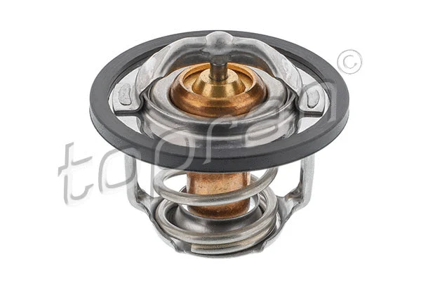 Thermostat, coolant (207 506)