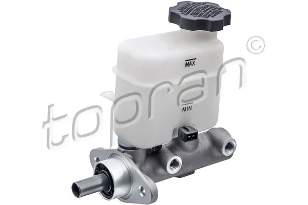 Brake Master Cylinder (820 972)