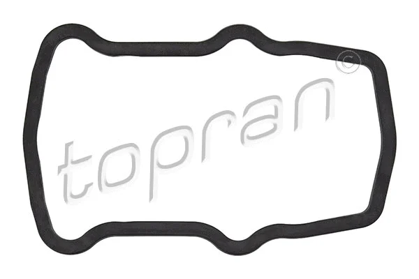 Gasket, cylinder head (100 147)