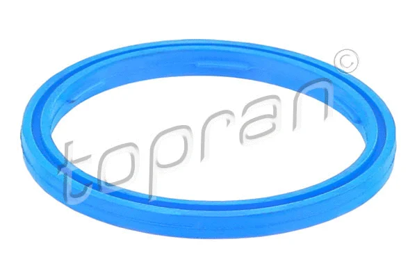 Seal Ring (115 439)