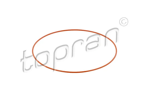 O-Ring, cylinder sleeve (722 202)