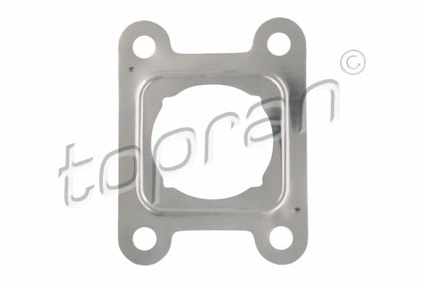 Gasket, exhaust pipe (117 639)