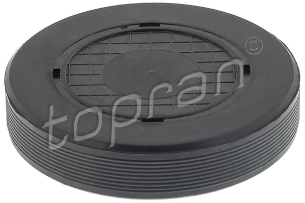 Plug, rocker arm shaft mounting bore (700 144)