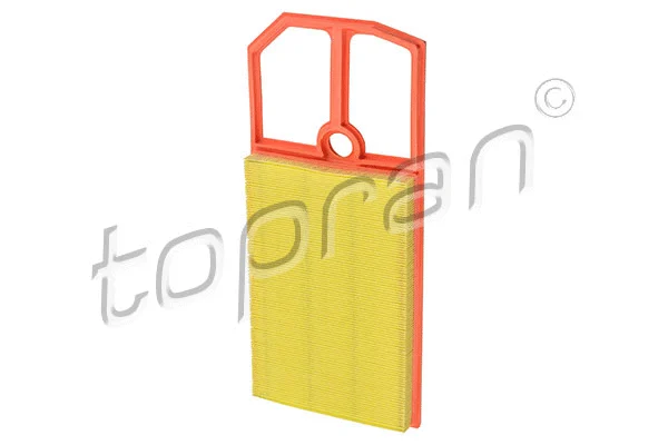 Air Filter (107 695)