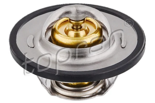 Thermostat, coolant (111 149)